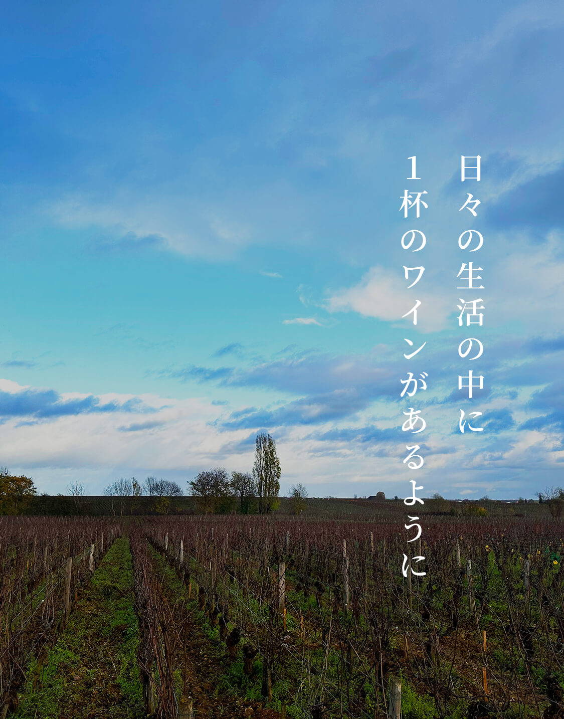 日々の生活の中に一杯のワインがあるように